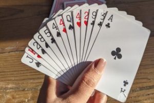 Contract Bridge 55+ – Cancelled